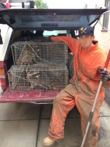 Wildlfie & Animal Removal, Trapping, Control Services